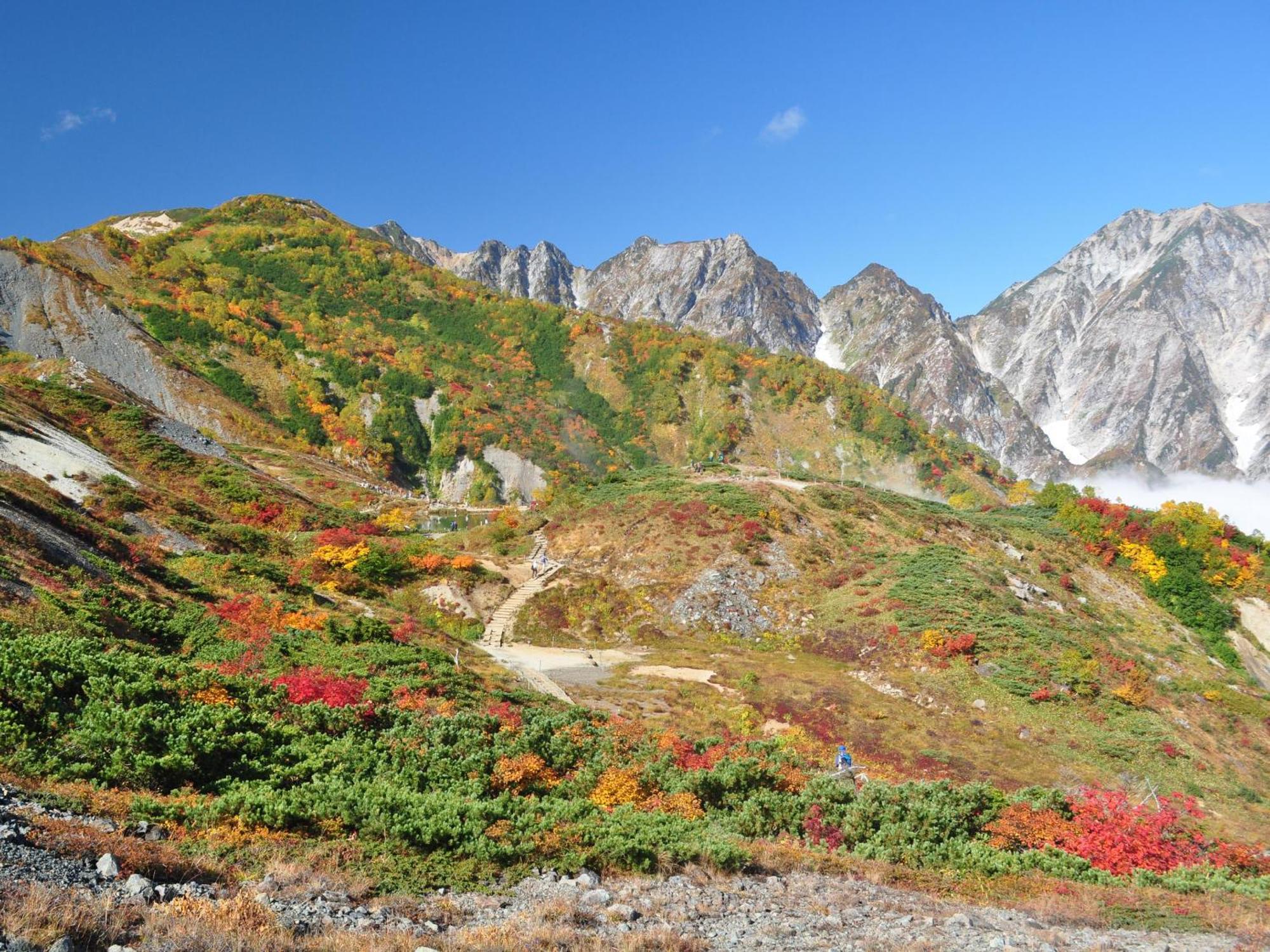 Kudo'S Lodge ฮาคุบะ ภายนอก รูปภาพ